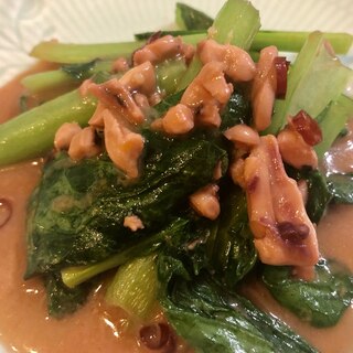簡単副菜♫小松菜と塩辛のピリ辛炒めのおつまみ